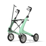 Cane Holder